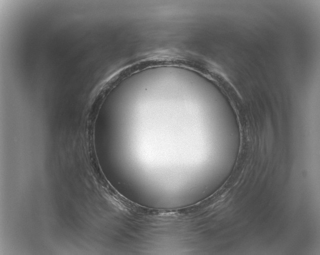 X0000067381304200603311010