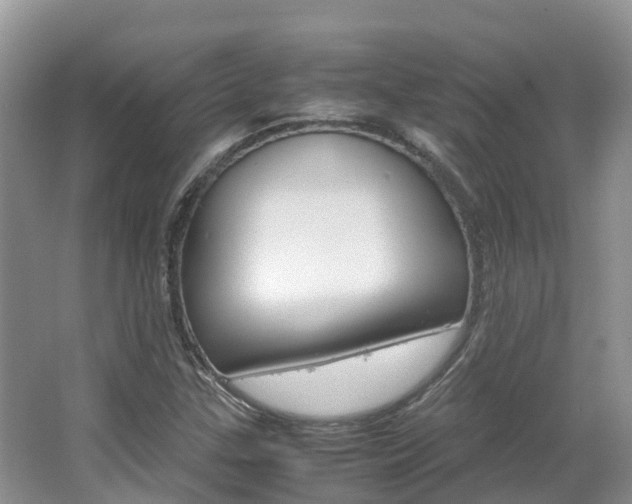 X0000067381307200603311010