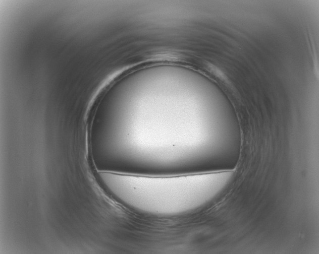 X0000067381323200603311010