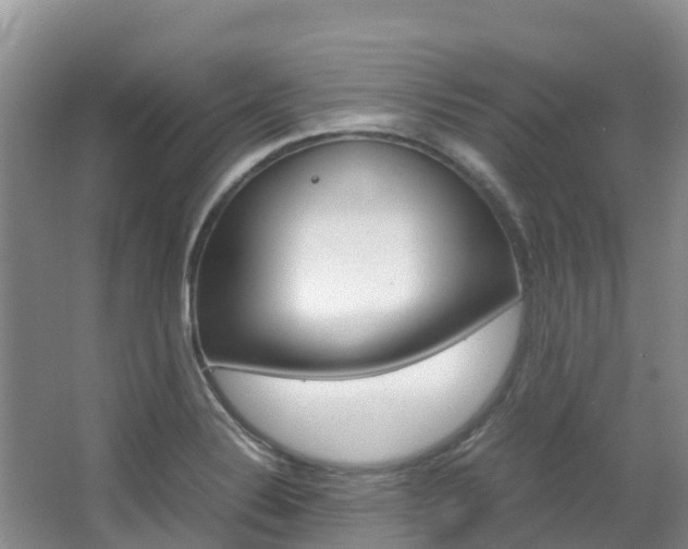 X0000067381324200603311010