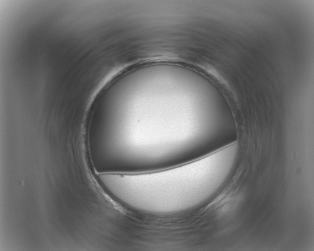 X0000067381325200603311010
