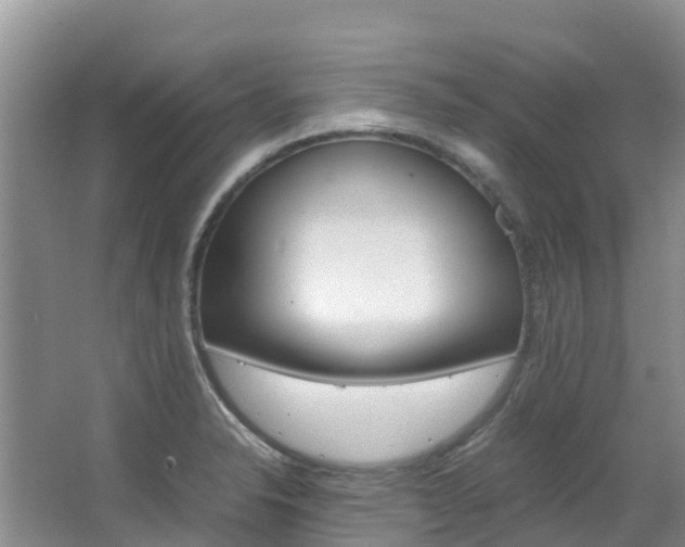 X0000067381326200603311010