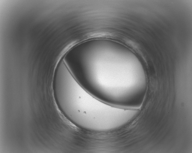 X0000067381330200603311010