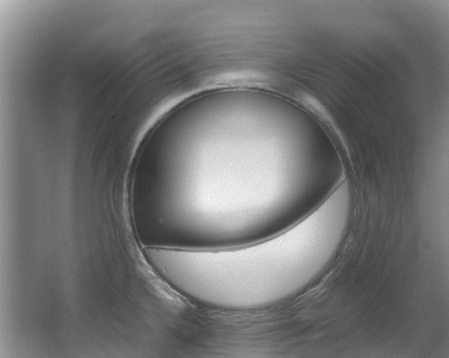 X0000067381336200603311010