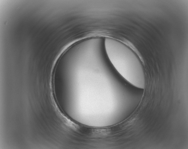 X0000067381339200603311010