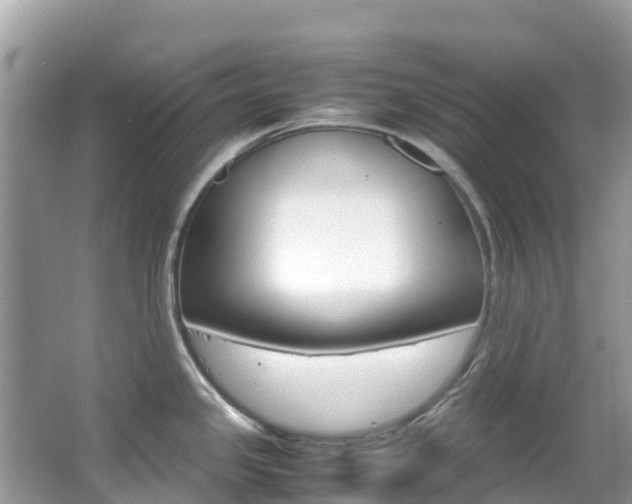 X0000067381341200603311010