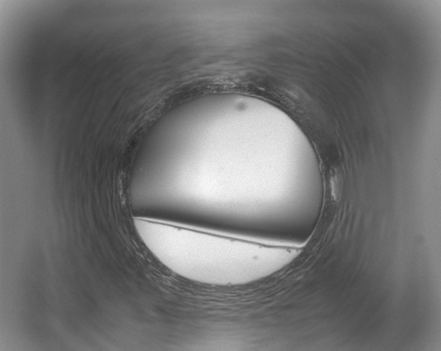X0000067381347200603311010