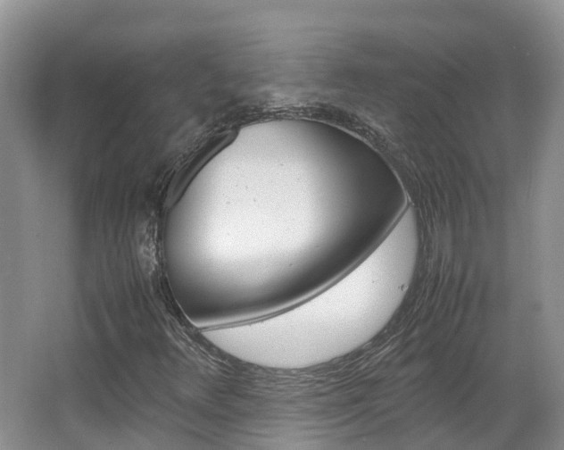 X0000067381348200603311010