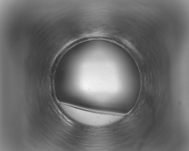 X0000067381356200603311009