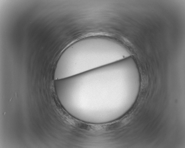 X0000067381361200603311009