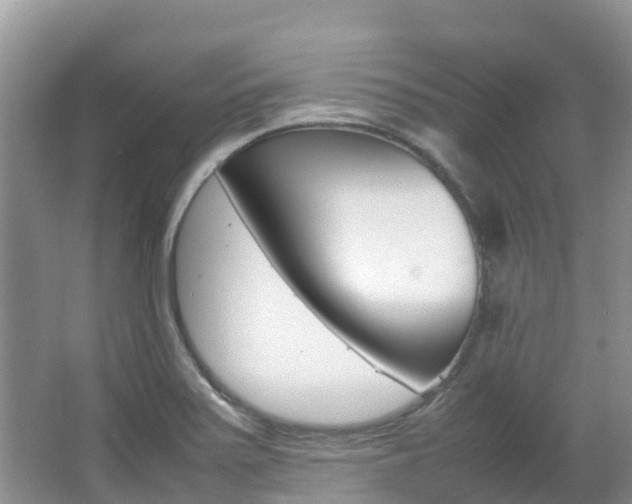X0000067381371200603311009