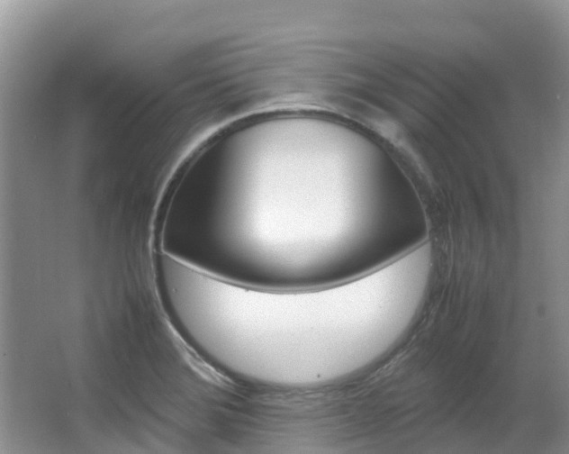 X0000067381372200603311009
