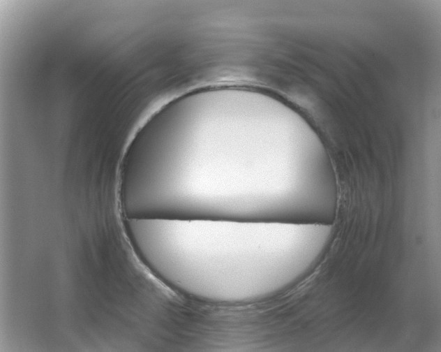 X0000067381374200603311009