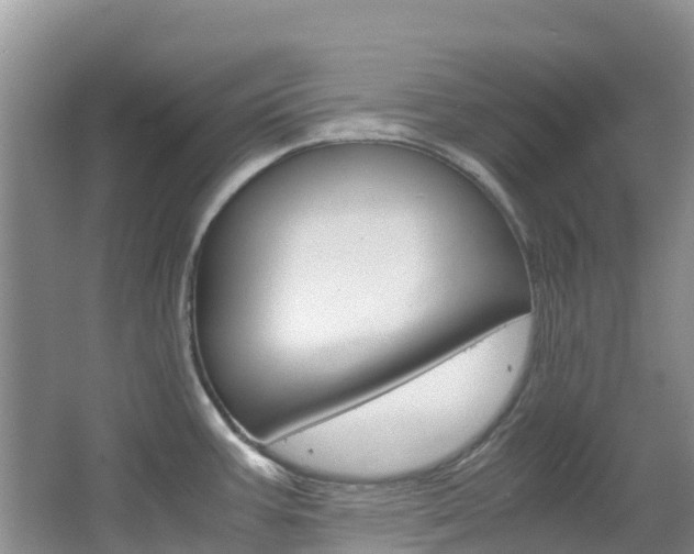 X0000067381387200603311009