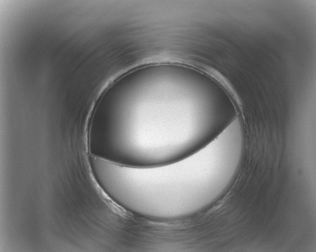 X0000067381388200603311009