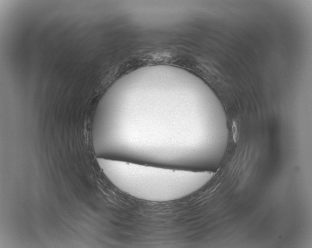 X0000067381395200603311008