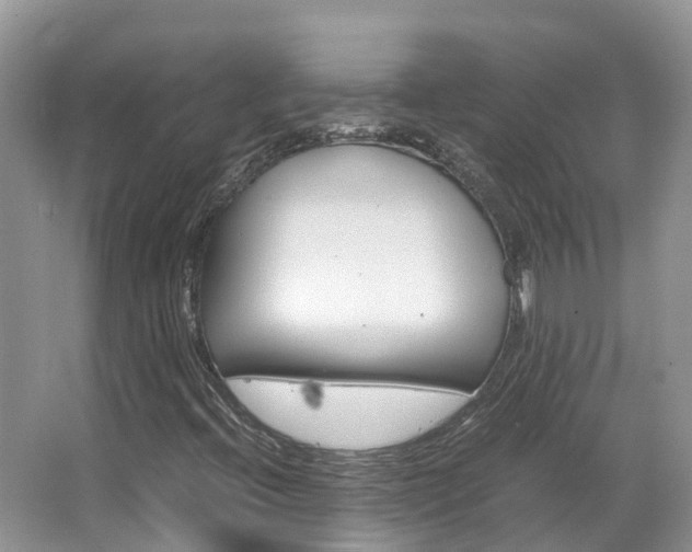 X0000067381396200603311008
