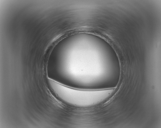 X0000067381402200603311008