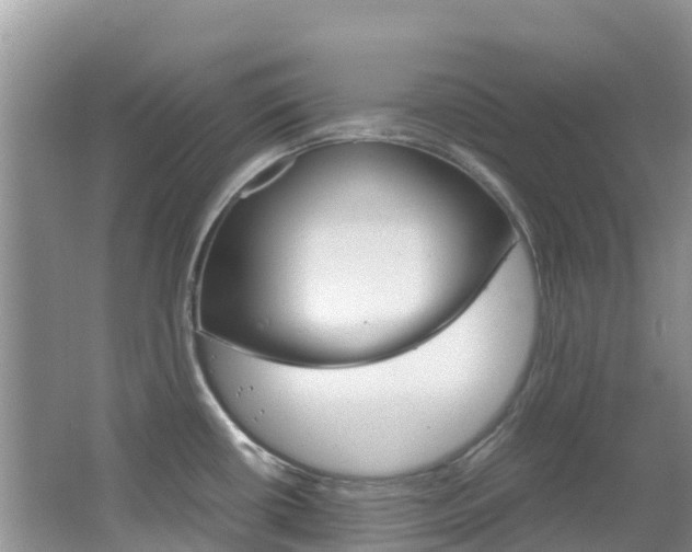 X0000067381434200603311009