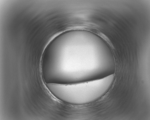 X0000067381436200603311009
