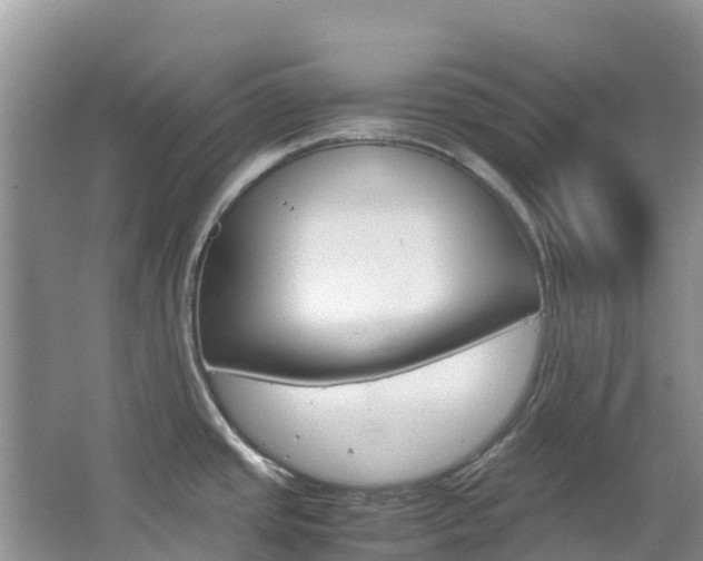 X0000067381437200603311009