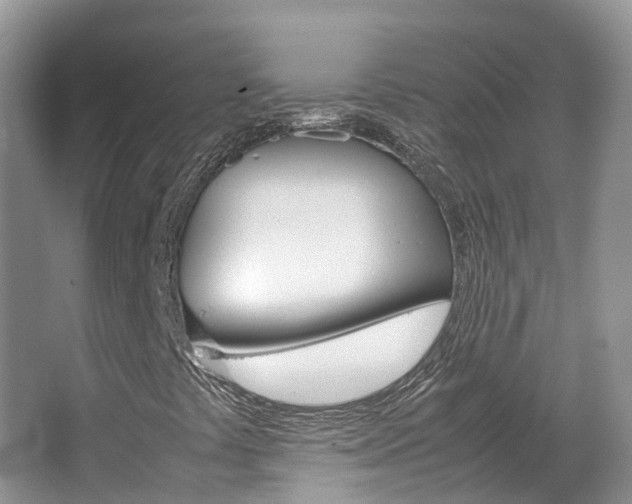 X0000067381441200603311008