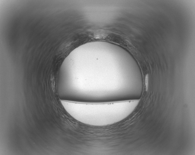 X0000067381443200603311008