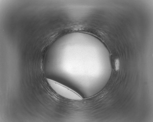 X0000067381444200603311008