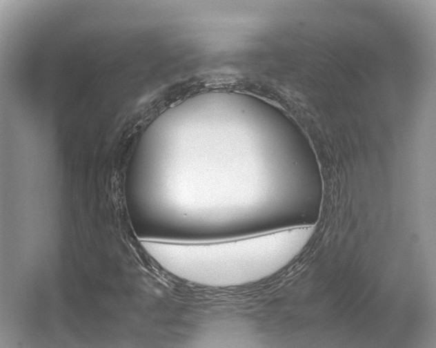 X0000067381445200603311008