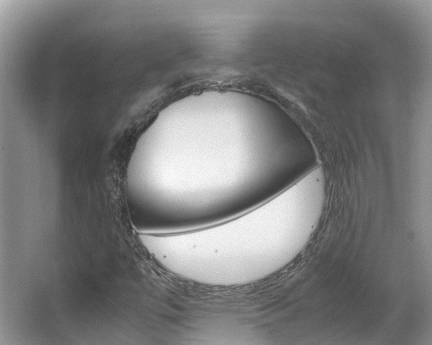 X0000067381447200603311008