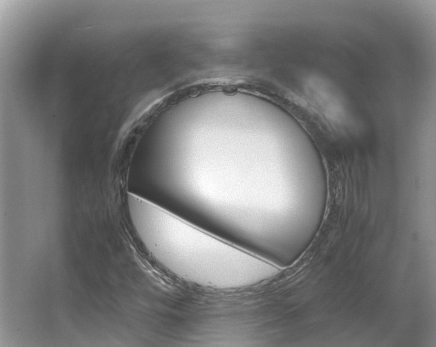 X0000067381448200603311008
