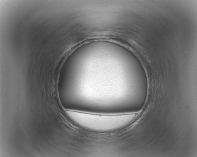 X0000067381449200603311008