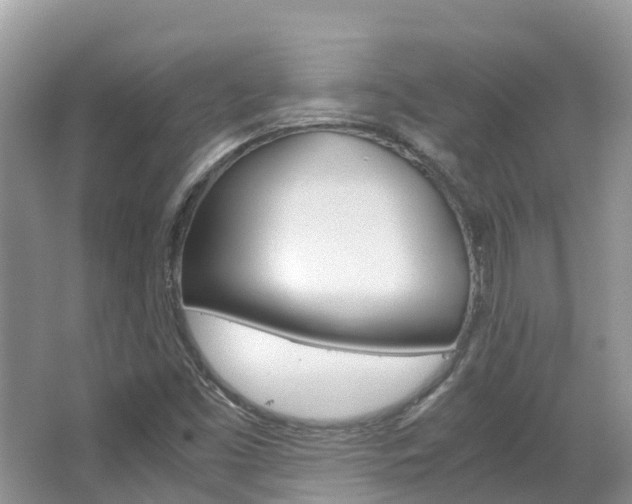 X0000067381453200603311008