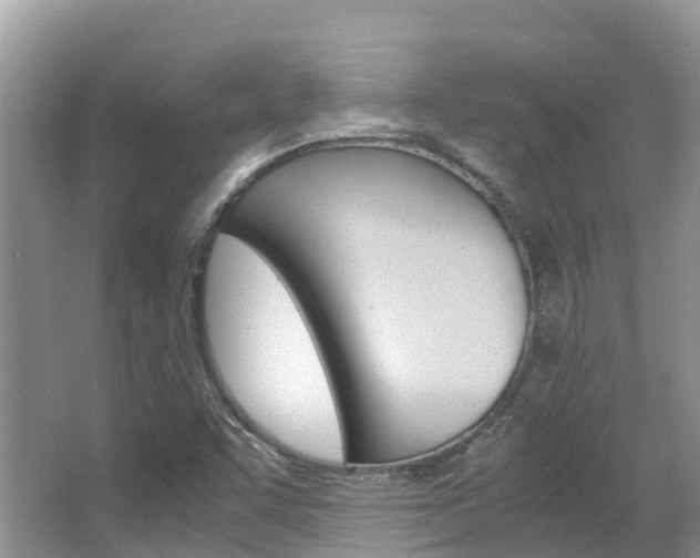 X0000067381455200603311008