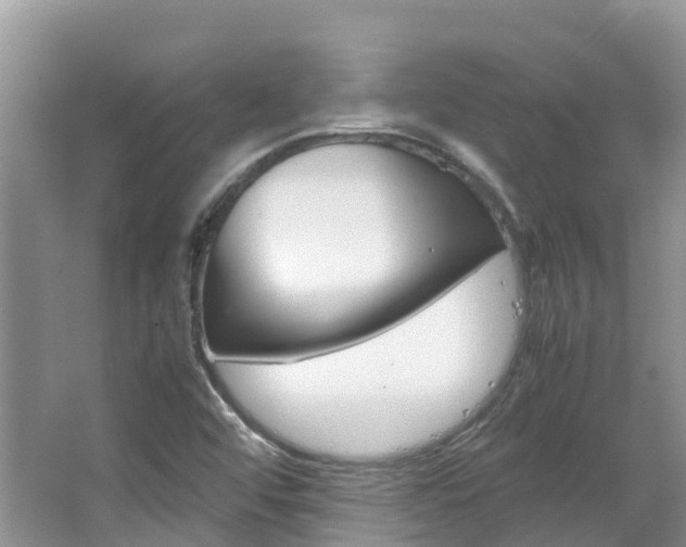 X0000067381456200603311008