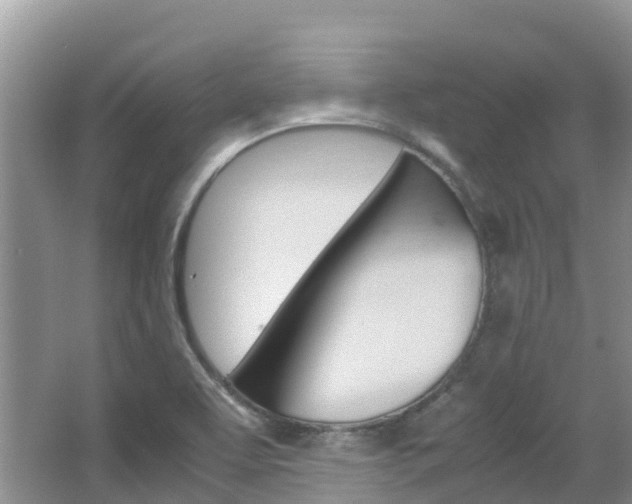 X0000067381463200603311008