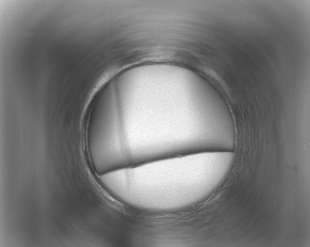 X0000067381467200603311008