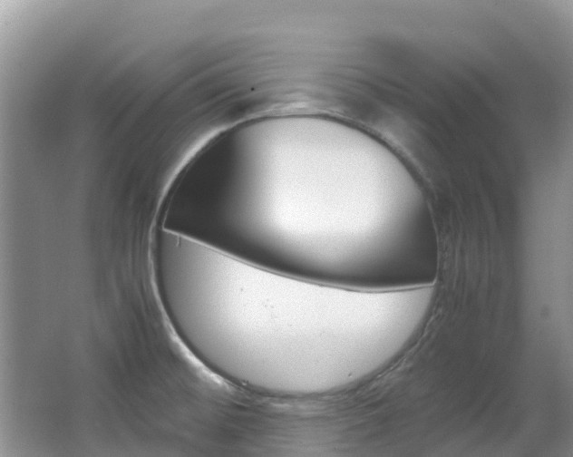 X0000067381476200603311007
