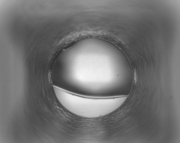 X0000067381492200603311006