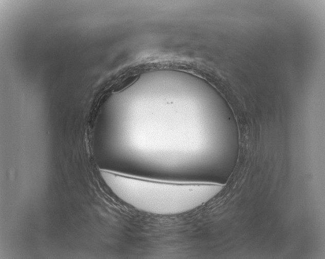 X0000067381493200603311006