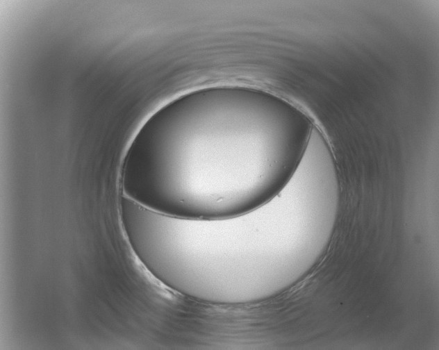 X0000067381532200603311007