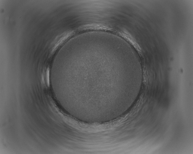 X0000067380014200603311222