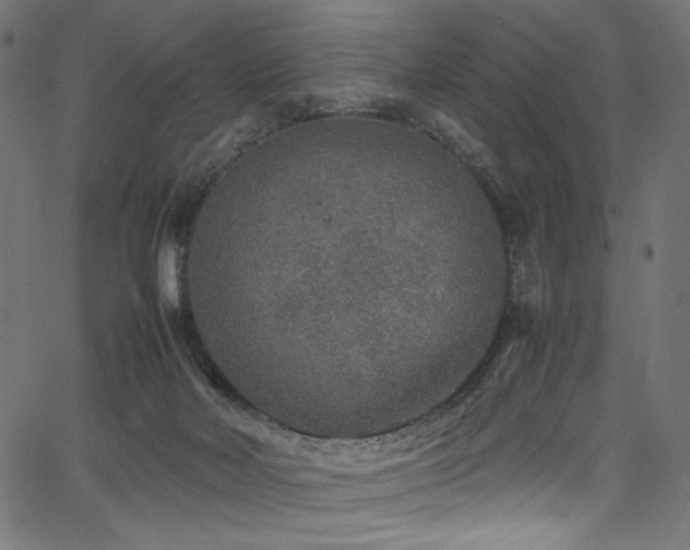 X0000067380026200603311222