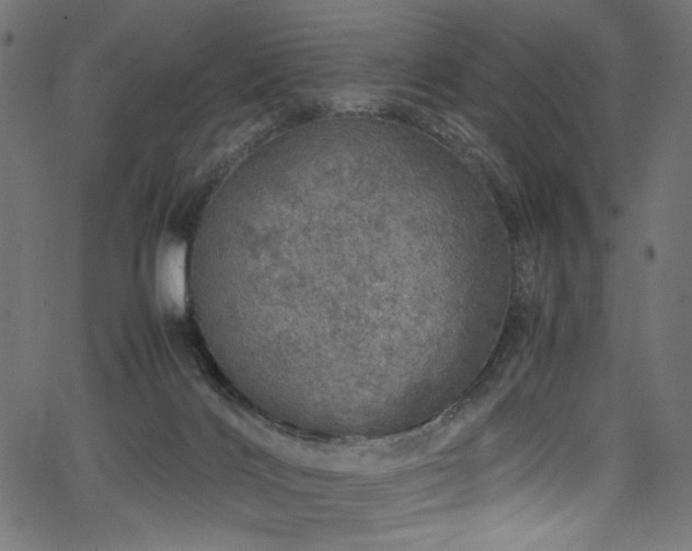 X0000067380028200603311222
