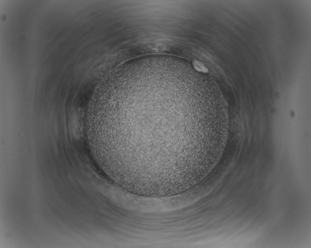 X0000067380030200603311222