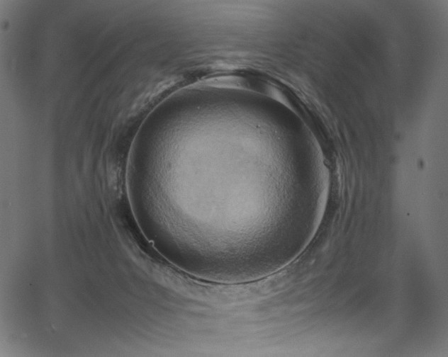 X0000067380031200603311222