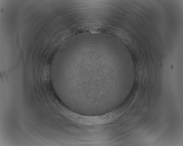 X0000067380034200603311222