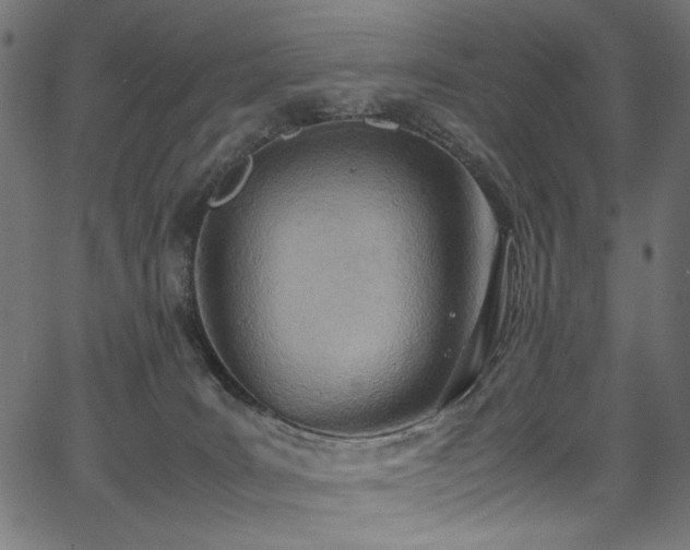 X0000067380035200603311222
