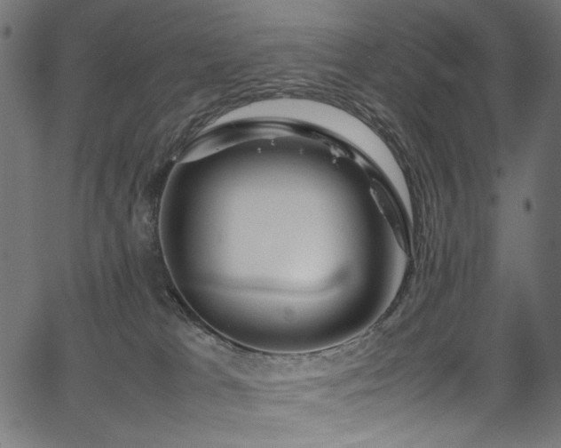 X0000067380037200603311222