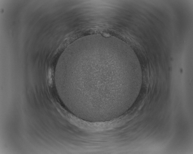 X0000067380038200603311222